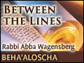 Beha'aloscha: For G-d Please Dial "vav"