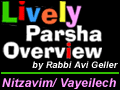 Nitzavim/ Vayeilech