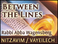 Nitzavim/Vayeilech: Take Me To Your Leader