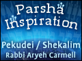 Adar: The Dangers of Counting