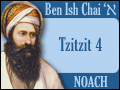 Summing Up the Strings Themselves (Noach 1)