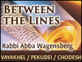 Vayakhel/ Pekudei/ HaChodesh: Jump For Your Love