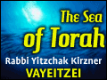 Vayeitzei: The True Me