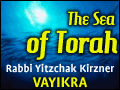 Vayikra: An Emissary of G-d